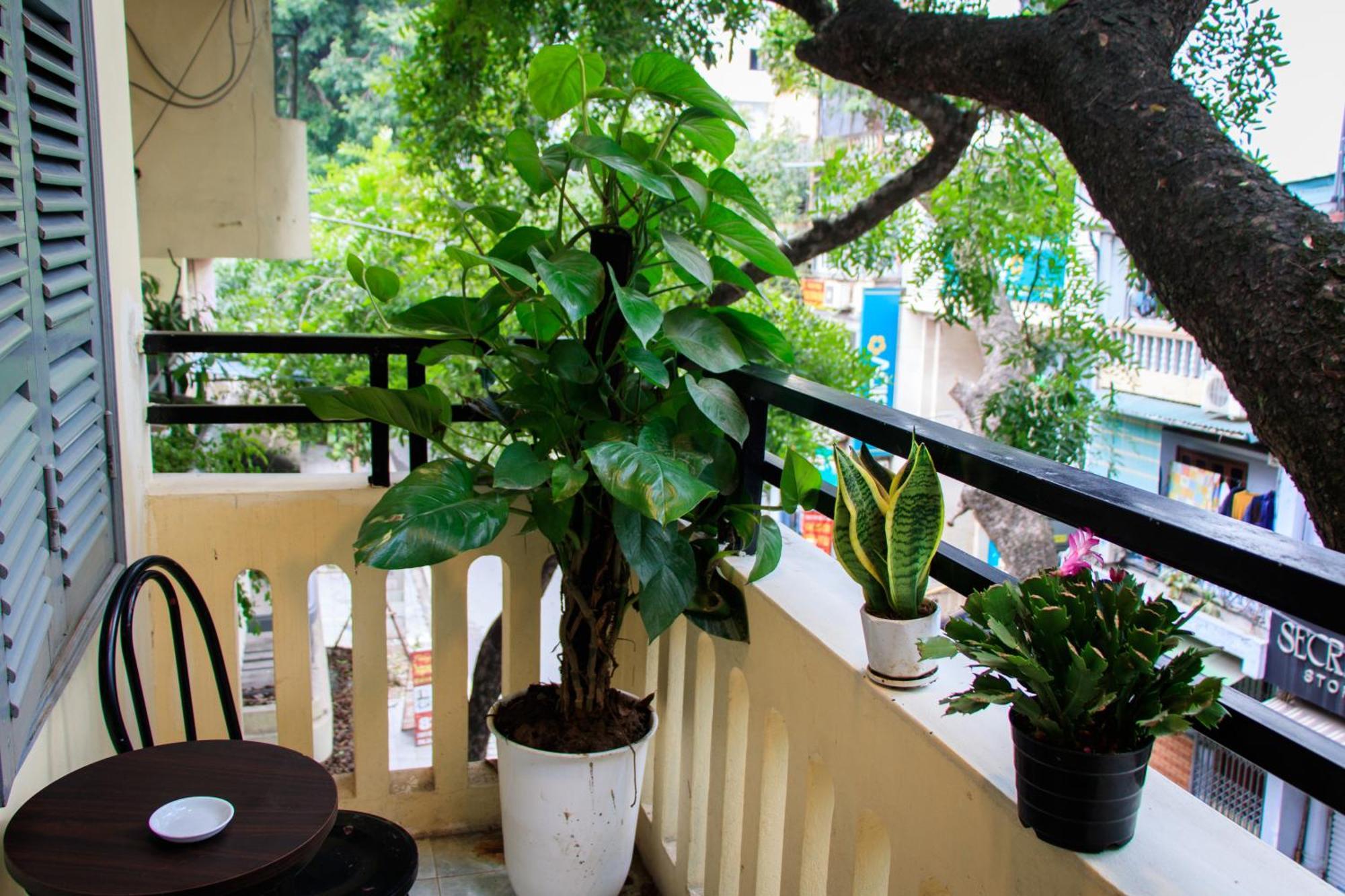 Hanoi Family Homestay Bagian luar foto