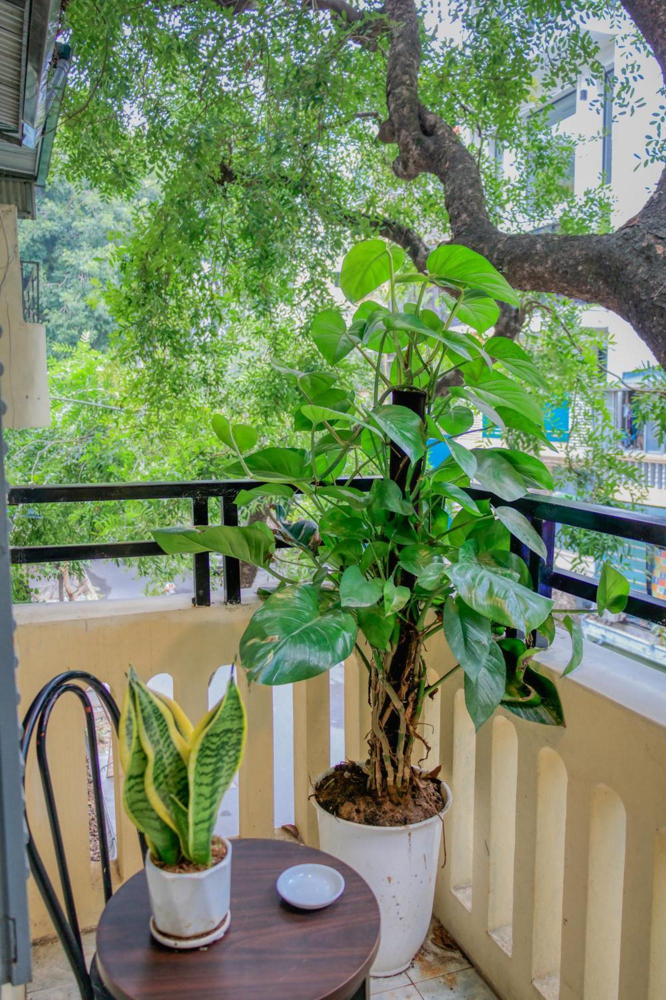 Hanoi Family Homestay Bagian luar foto